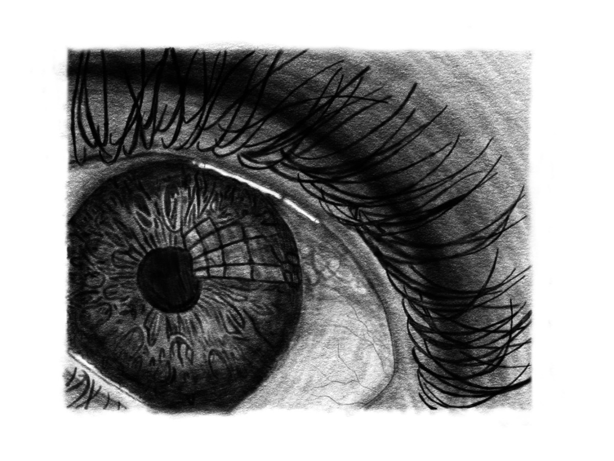 Eye